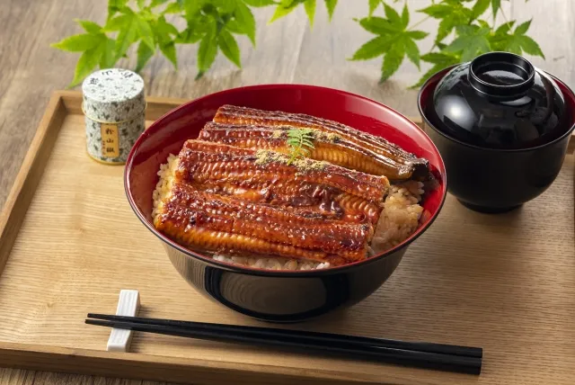 難波ランチで楽しむうなぎ丼の蒲焼き